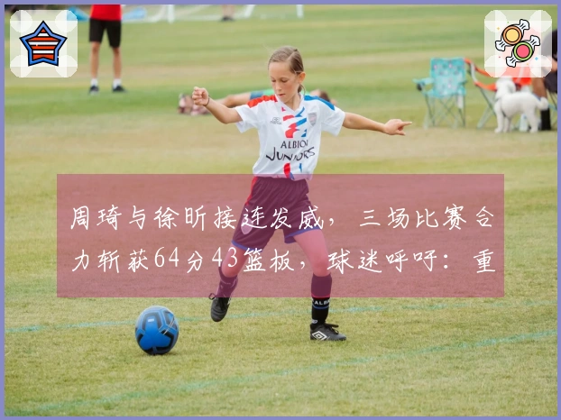 周琦与徐昕接连发威，三场比赛合力斩获64分43篮板，球迷呼吁：重新征召入国家队